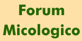 Forum Micologico